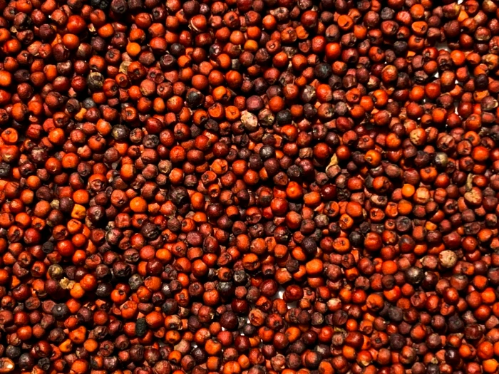 image de SOPRALU SARL - exportateur de cacao et produits agricoles