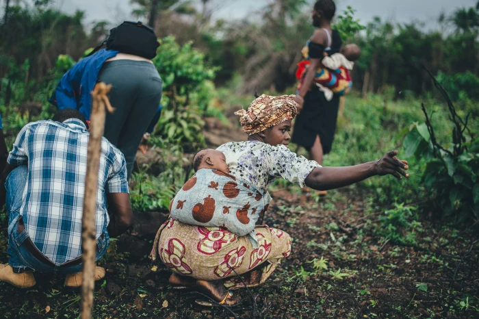 image de SOPRALU SARL - exportateur de cacao et produits agricoles