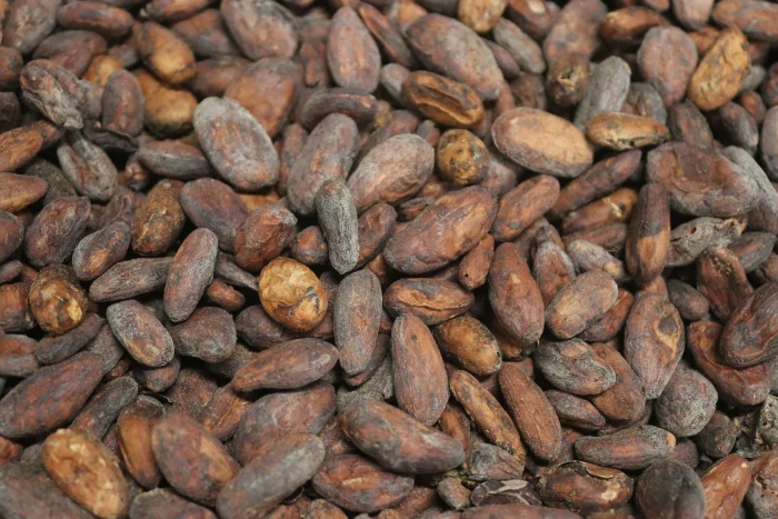 Image de SOPRALU SARL - exportateur de cacao et produits agricoles